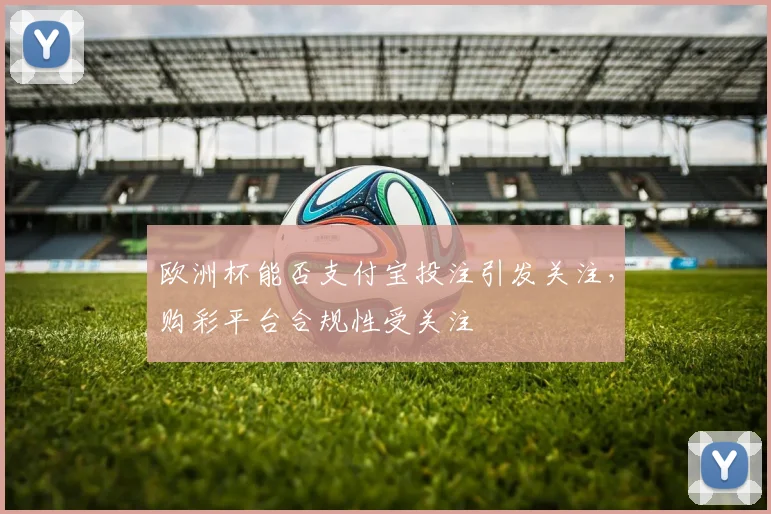 欧洲杯能否支付宝投注引发关注,购彩平台合规性受关注