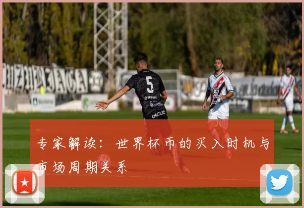 专家解读:世界杯币的买入时机与市场周期关系