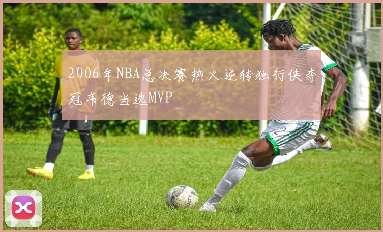 2006年NBA总决赛热火逆转独行侠夺冠韦德当选MVP