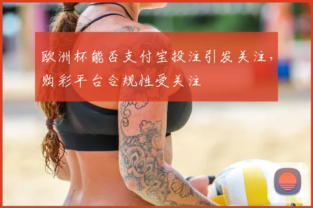 欧洲杯能否支付宝投注引发关注,购彩平台合规性受关注