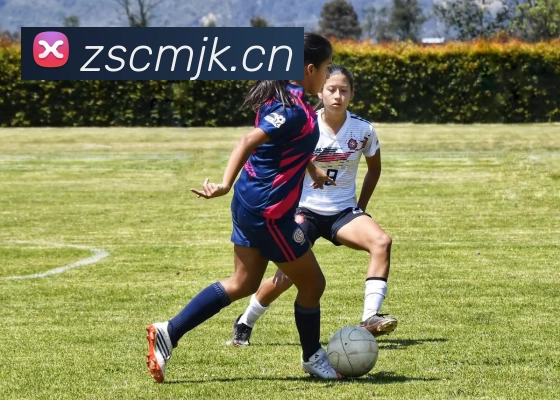 世界杯中国官网品牌故事